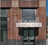 NYGC